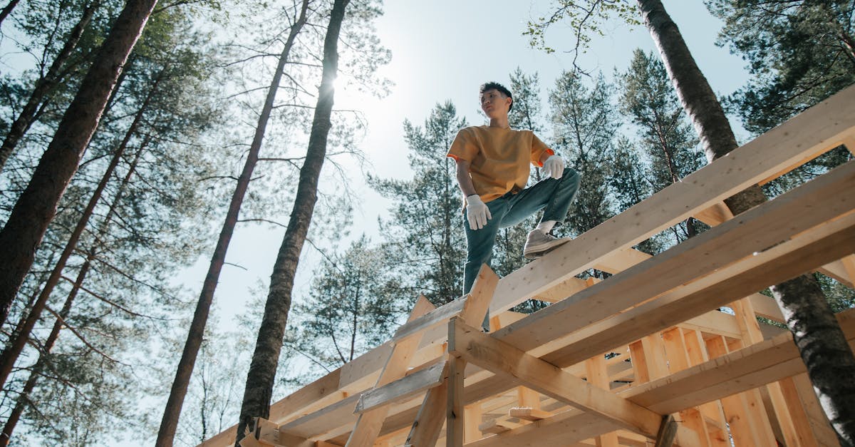 Custom Treehouse Construction in Austin